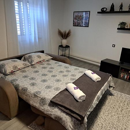 Apartman Darija Пазин Экстерьер фото